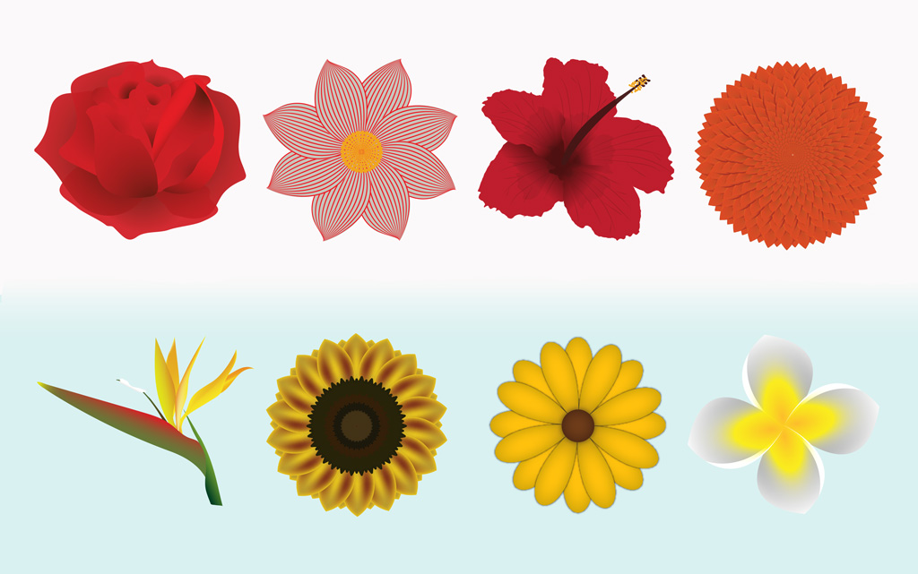 illustration flowers